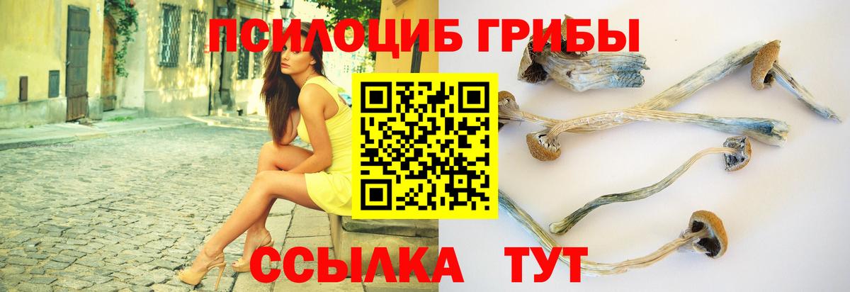 Псилоцибиновые грибы ЛСД Старая Русса