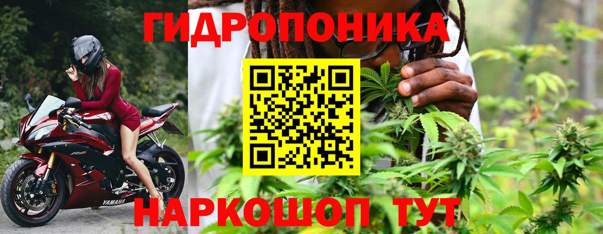 МАРИХУАНА Amnesia Старая Русса